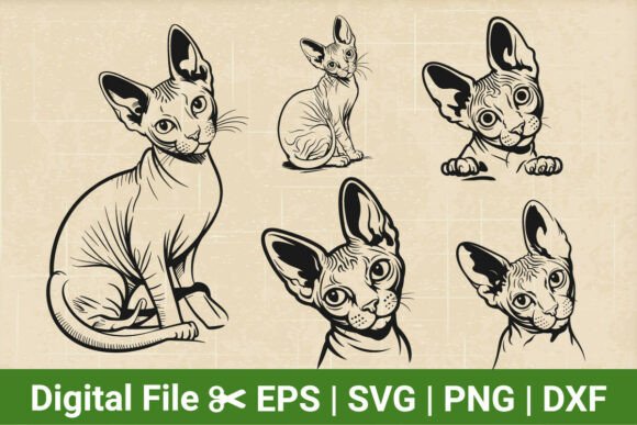 5 Peeking Cat SVG Bundle: A Designer's Real-World Review