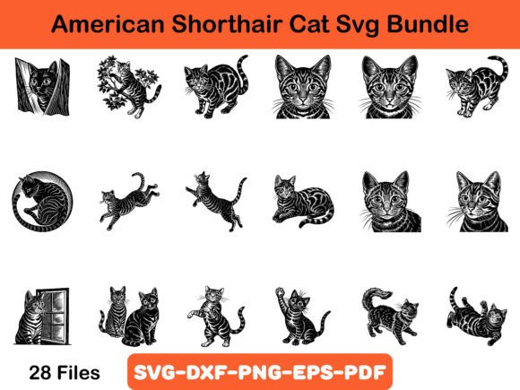 American Shorthair Cat Svg Bundle Review